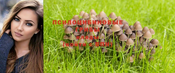 гашиш Иноземцево