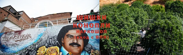 твердый Александровское