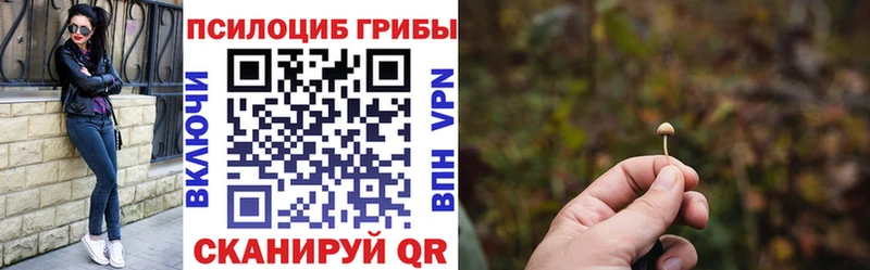Галлюциногенные грибы Cubensis  Купить закладки  Киселёвск 